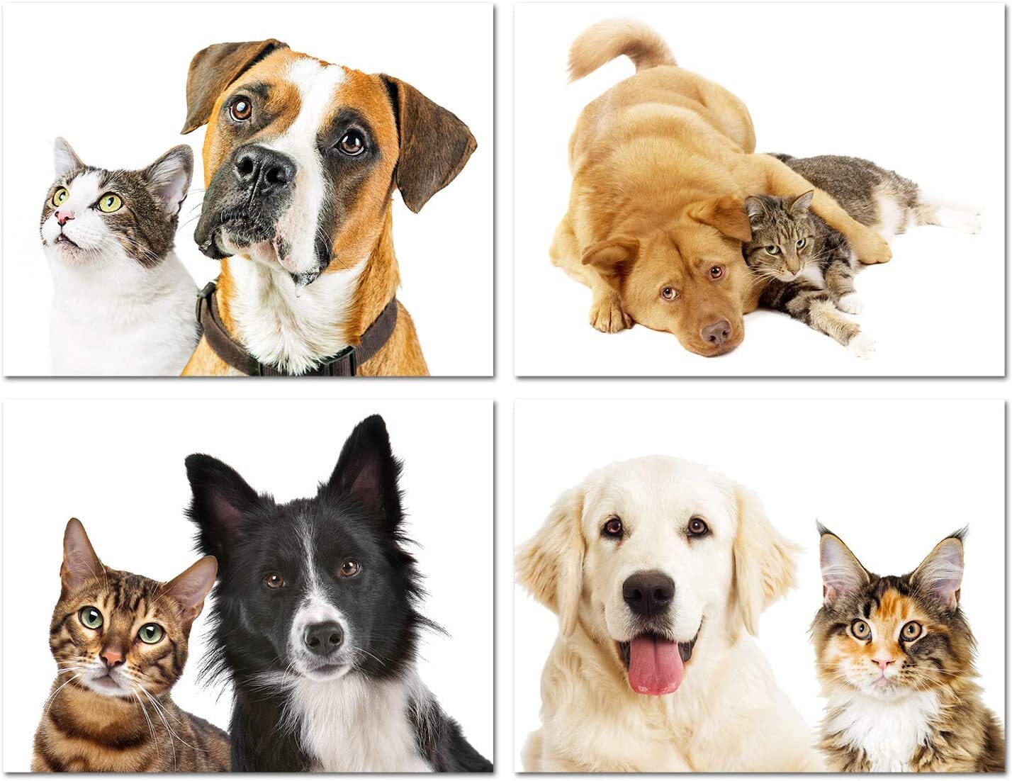 Furry Friends Dog and Cat Greeting Cards-Blank Inside-5.5″x4.25″-12 or 24 Packs