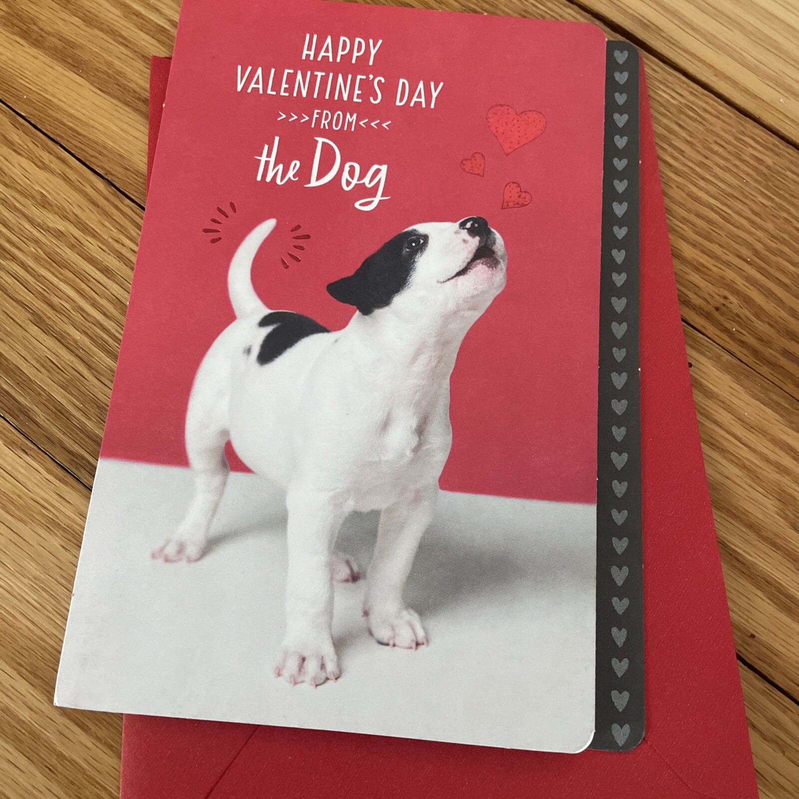 Happy Valentine’s Day From The Dog Big “I Love You” In Every Wag Of My Tail