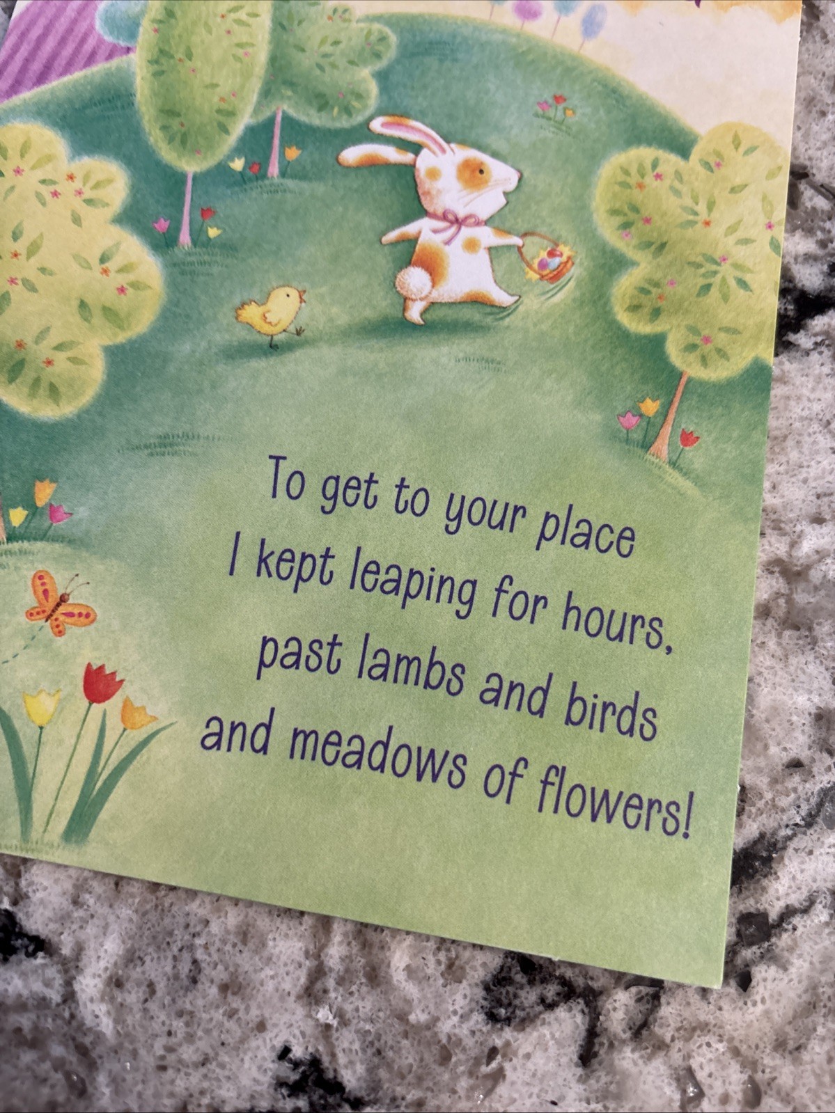 From The Easter Bunny 🐣 5”x7” Hallmark Greeting Card