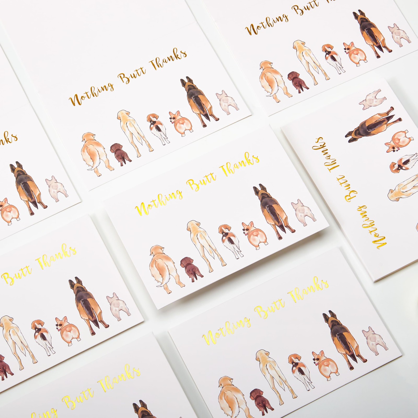 50 Count Dog Thank You Cards Nothing Butt Thanks Gold white and brown