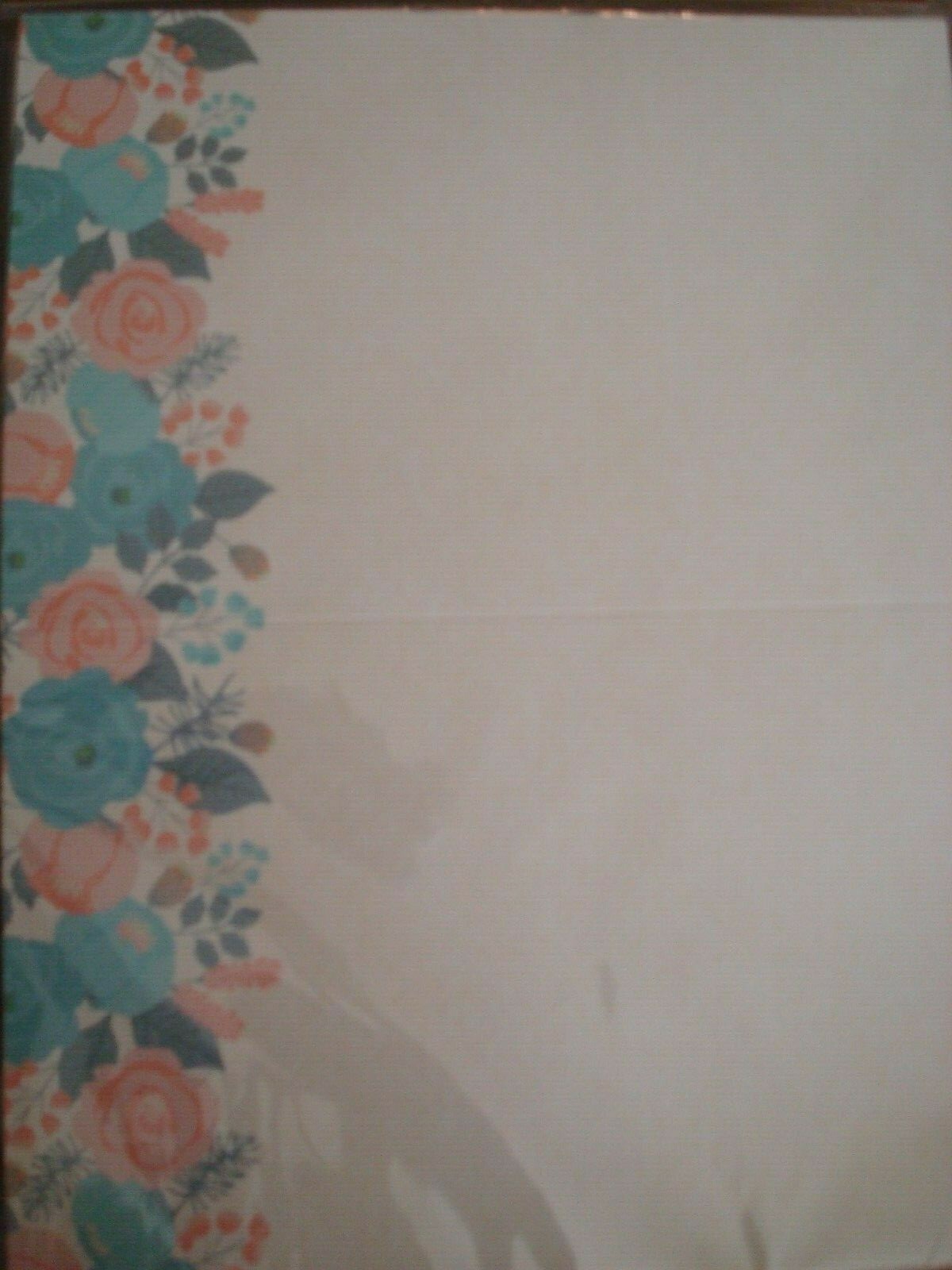 PROGRAMS CARDS BY BELLA BUG 50 CARDS