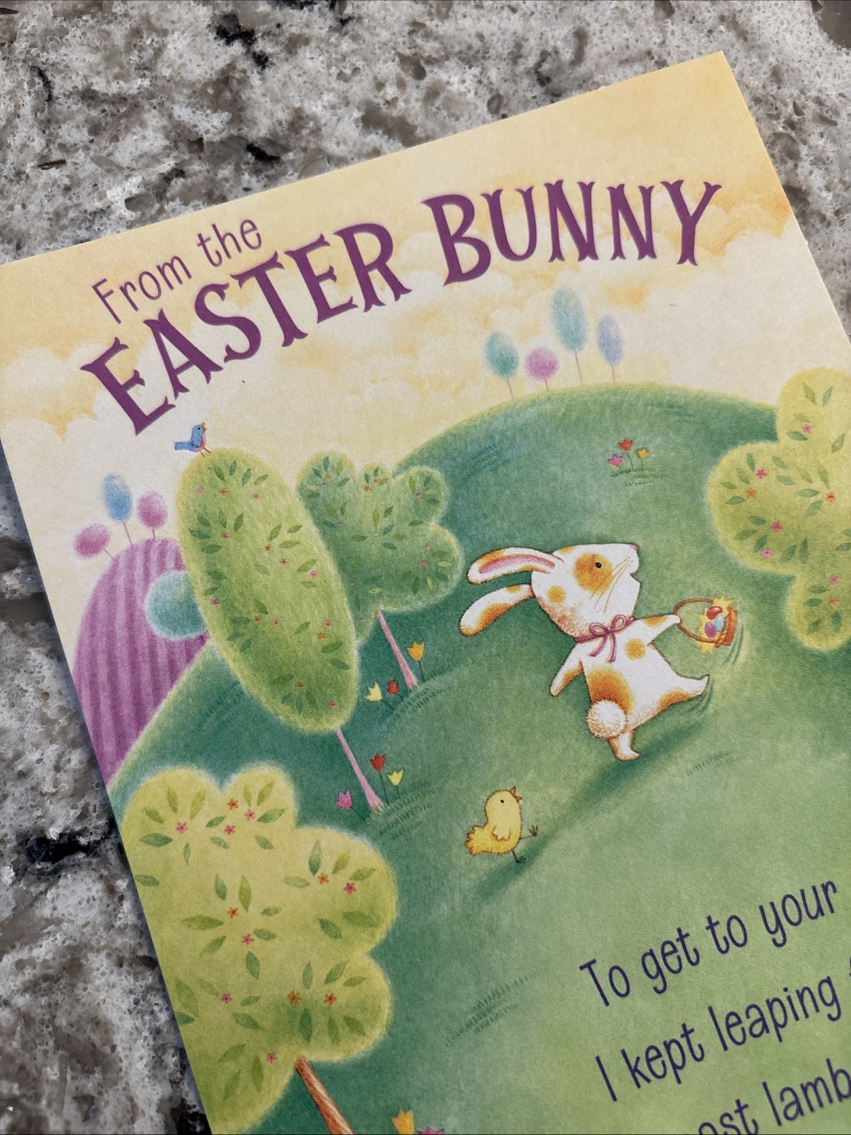 From The Easter Bunny 🐣 5”x7” Hallmark Greeting Card