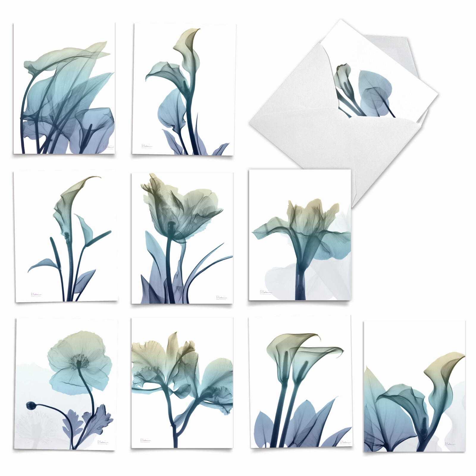 10 Blank All Occasion Cards Assorted – Blooming Expressions AM6221OCB-B1x10