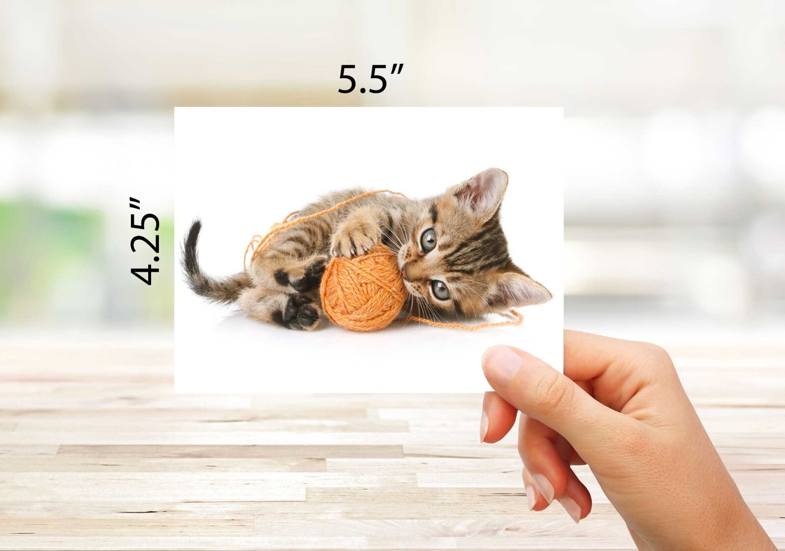 Playful Kitten Greeting Cards-Blank Inside with Envelopes-5.5″x4.25″-12 Pack