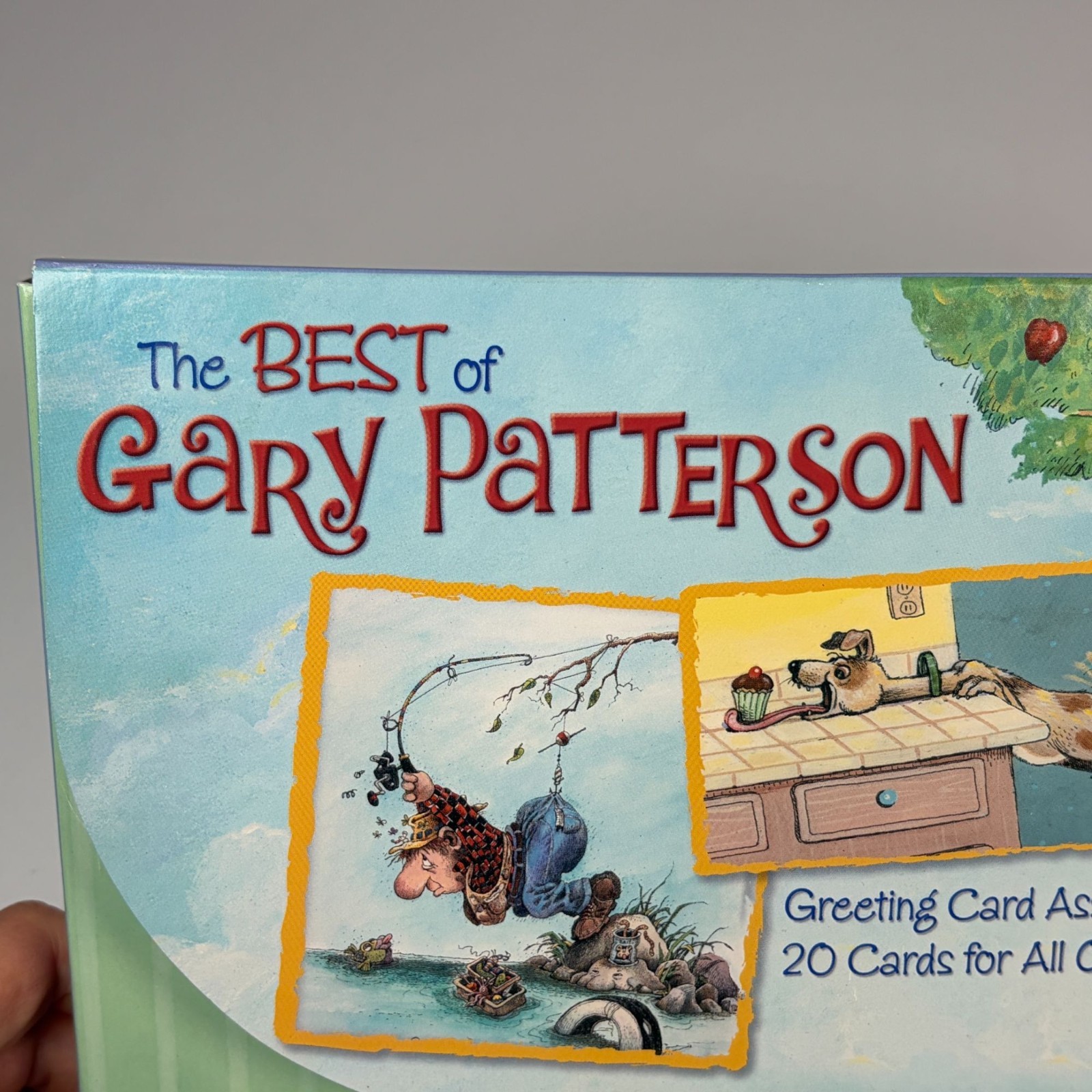 The Best of Gary Patterson Greeting Card Set 20 Cards All Occasions w Envelopes