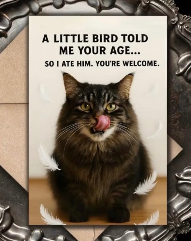 Birthday Cards, Adorable & Funny Cat Theme Cards, Cat Lovers, Envelope Included