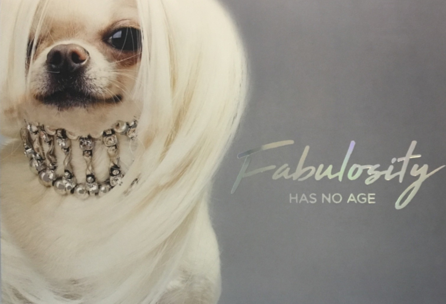 NIQUEA.D- Birthday- Dog In Rhinestone Collar- SRP 5.95- By Creators of Papyrus