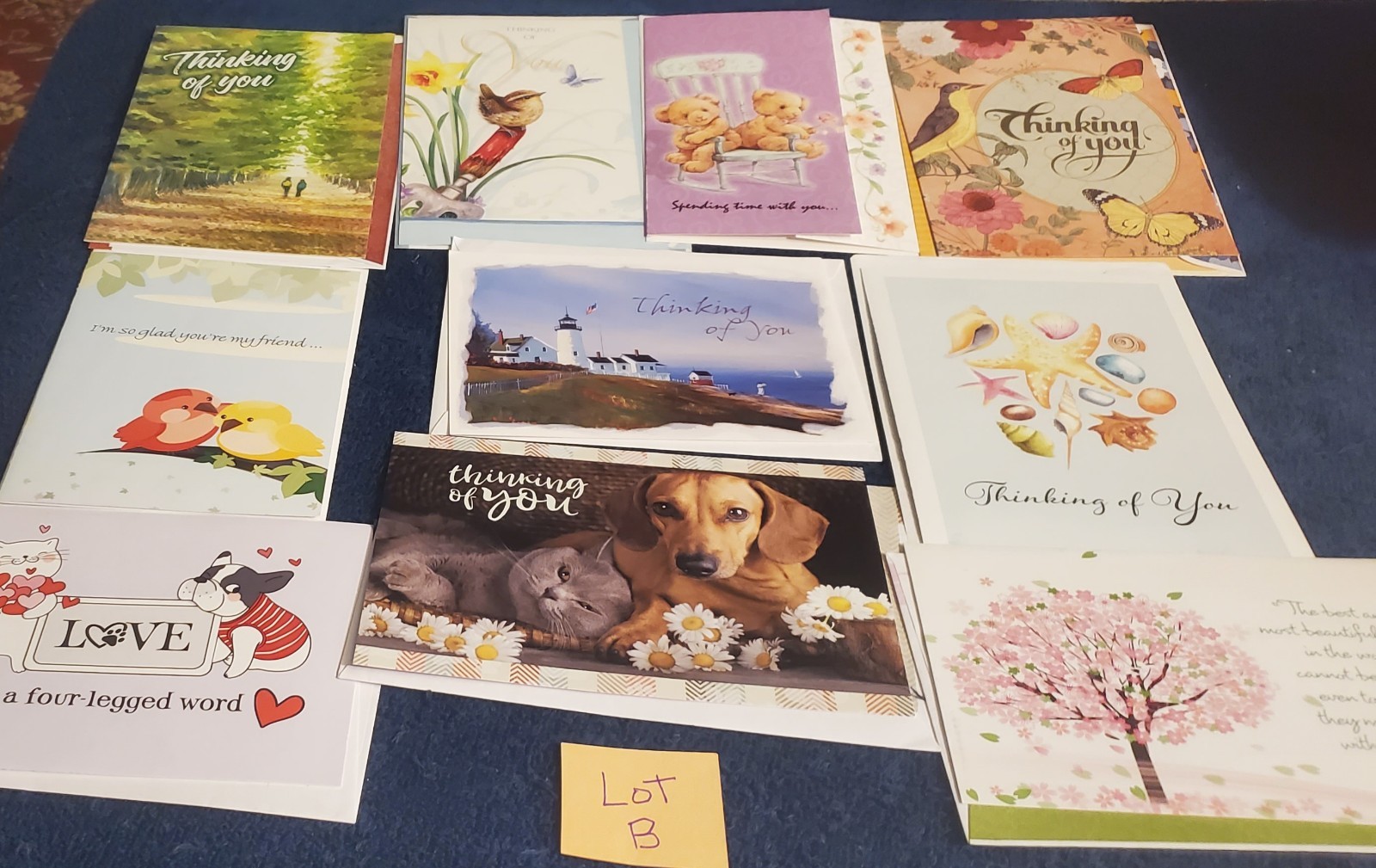 Lot B 10 Assorted Thinking of You Friendship Greeting Cards with Great Designs