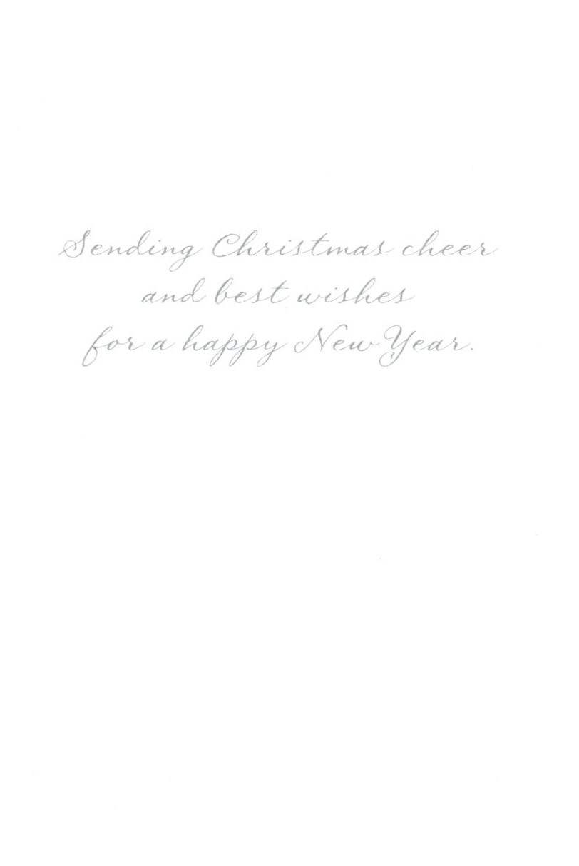 Christmas Season’s Greetings Sending Holiday Cheer Greeting Cards – Set of 7