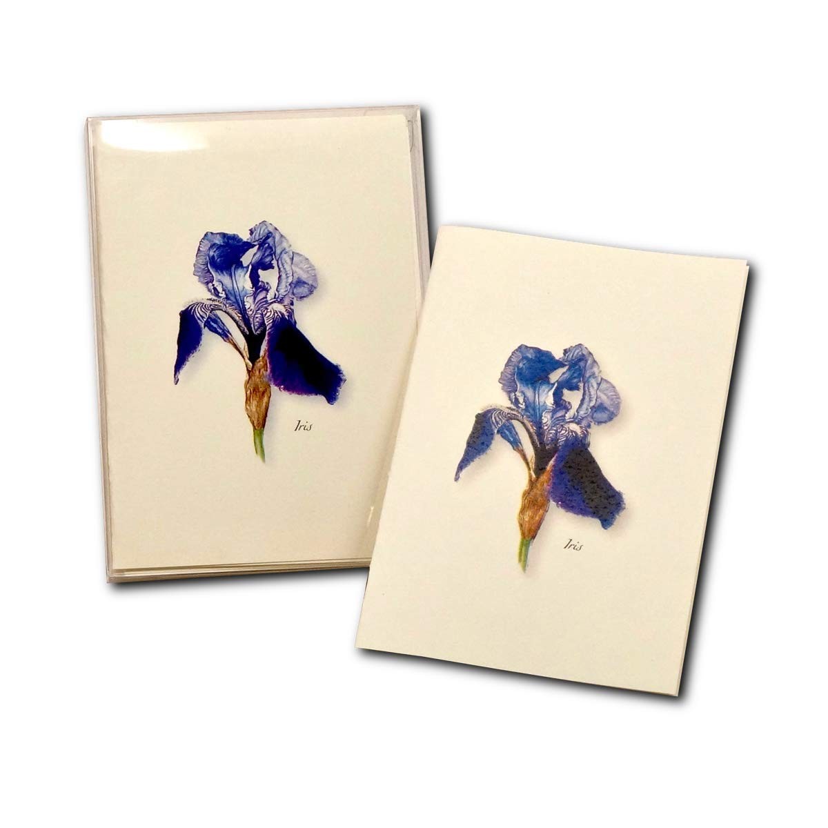 8 PCS Iris Blank Notecard Set With Envelope Stationery Note Card