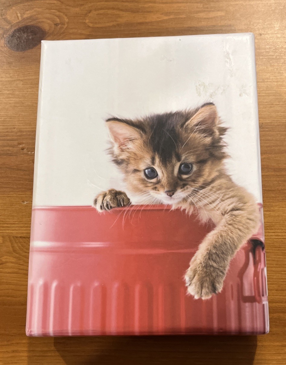 Cat Kitten GREETING CARDS New w/Envelope Box Of 15 Crown Paint Graphics