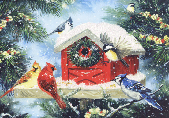Christmas Bird Feeder LPG Greetings Christmas Card