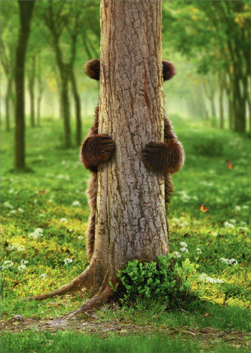Brown Bear Peek A Boo Funny Goodbye Card – Greeting Card by Avanti Press