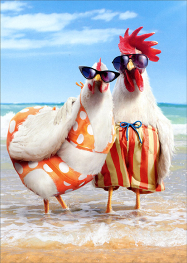 Chicken Couple on Beach Humorous Funny Wedding Anniversary Card for Couple