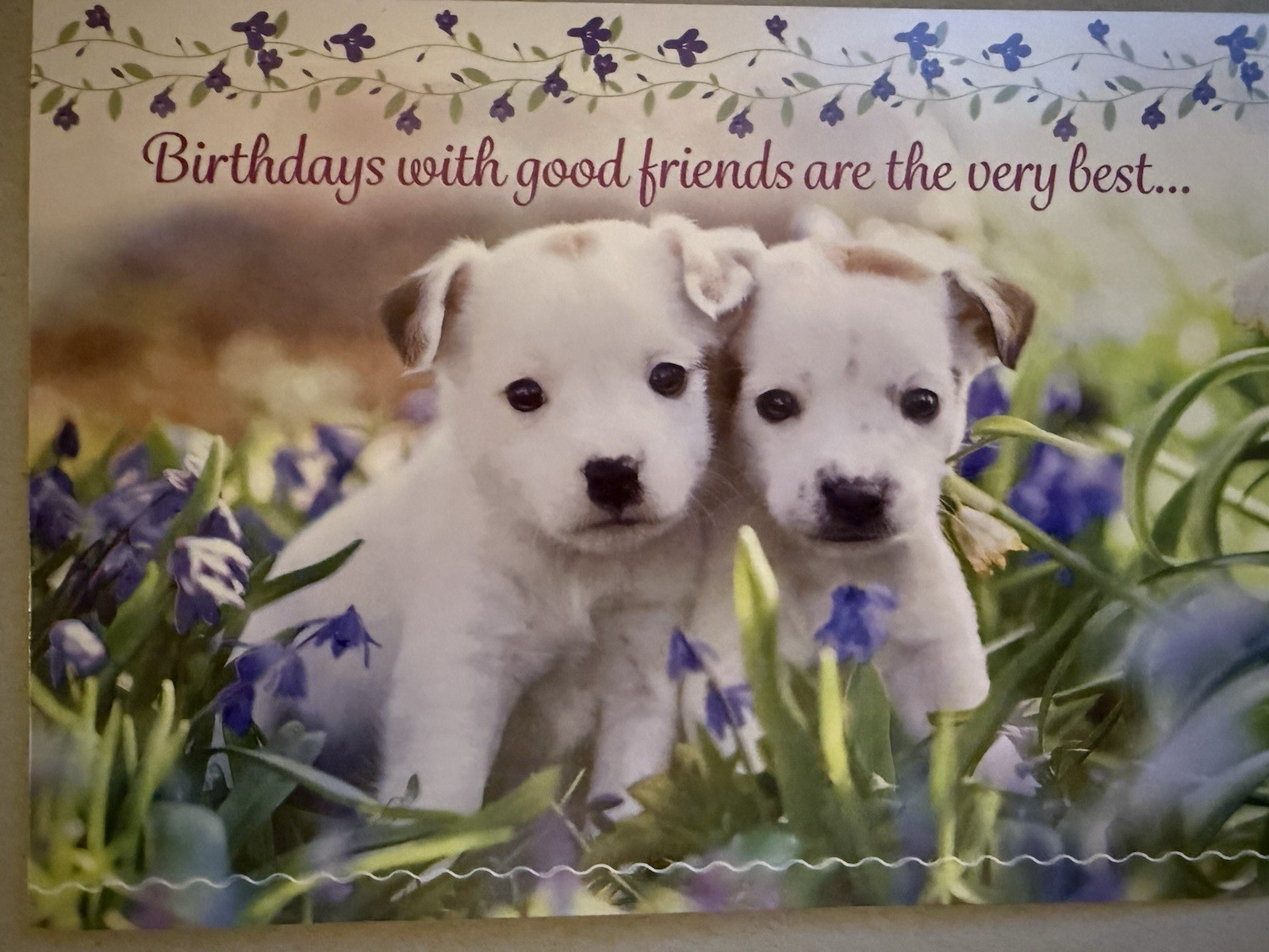 “Birthdays with good friends are the very Best” – Two white Puppies – 5.5″ X 7.5
