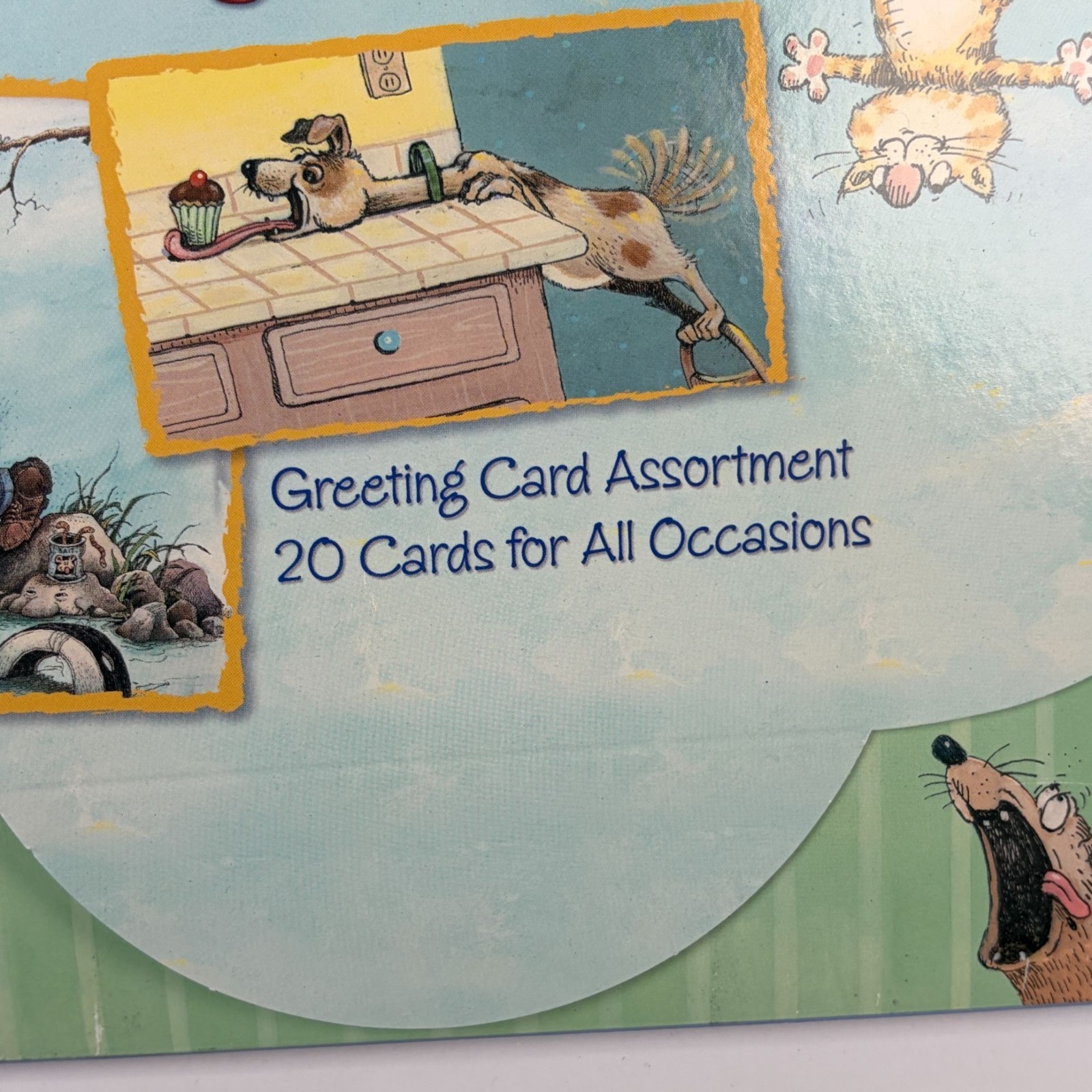 The Best of Gary Patterson Greeting Card Set 20 Cards All Occasions w Envelopes