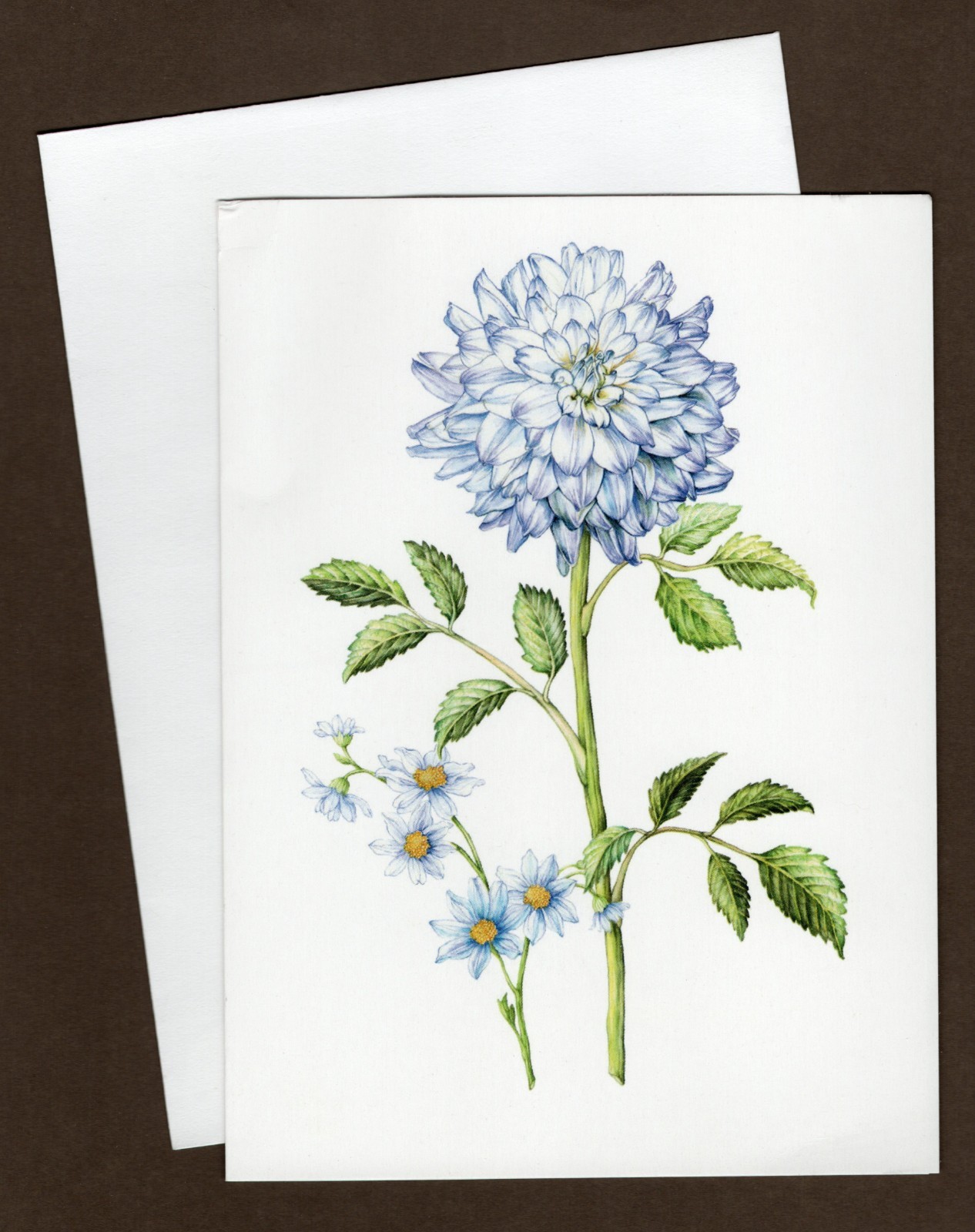 Dahlias Colonial Williamsburg Greeting Card, Blank Inside, Floral/Flowers