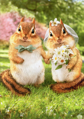 Chipmunk Bride And Groom Funny Wedding Card – Greeting Card by Avanti Press