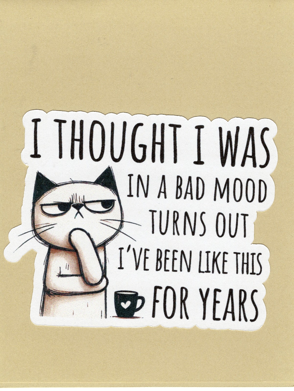 Greeting Card – Note Card 5.5 x 4.25 / Funny Humor Annoyed Cat TFC