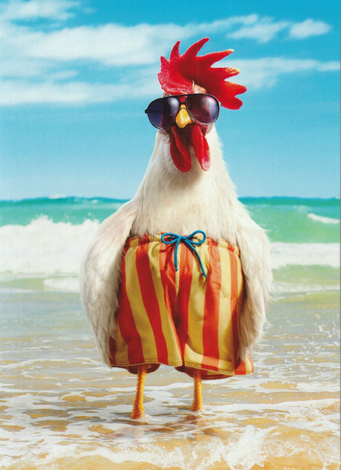 Happy Birthday Card – The Older We Get The Less We Care – Funny – Beach