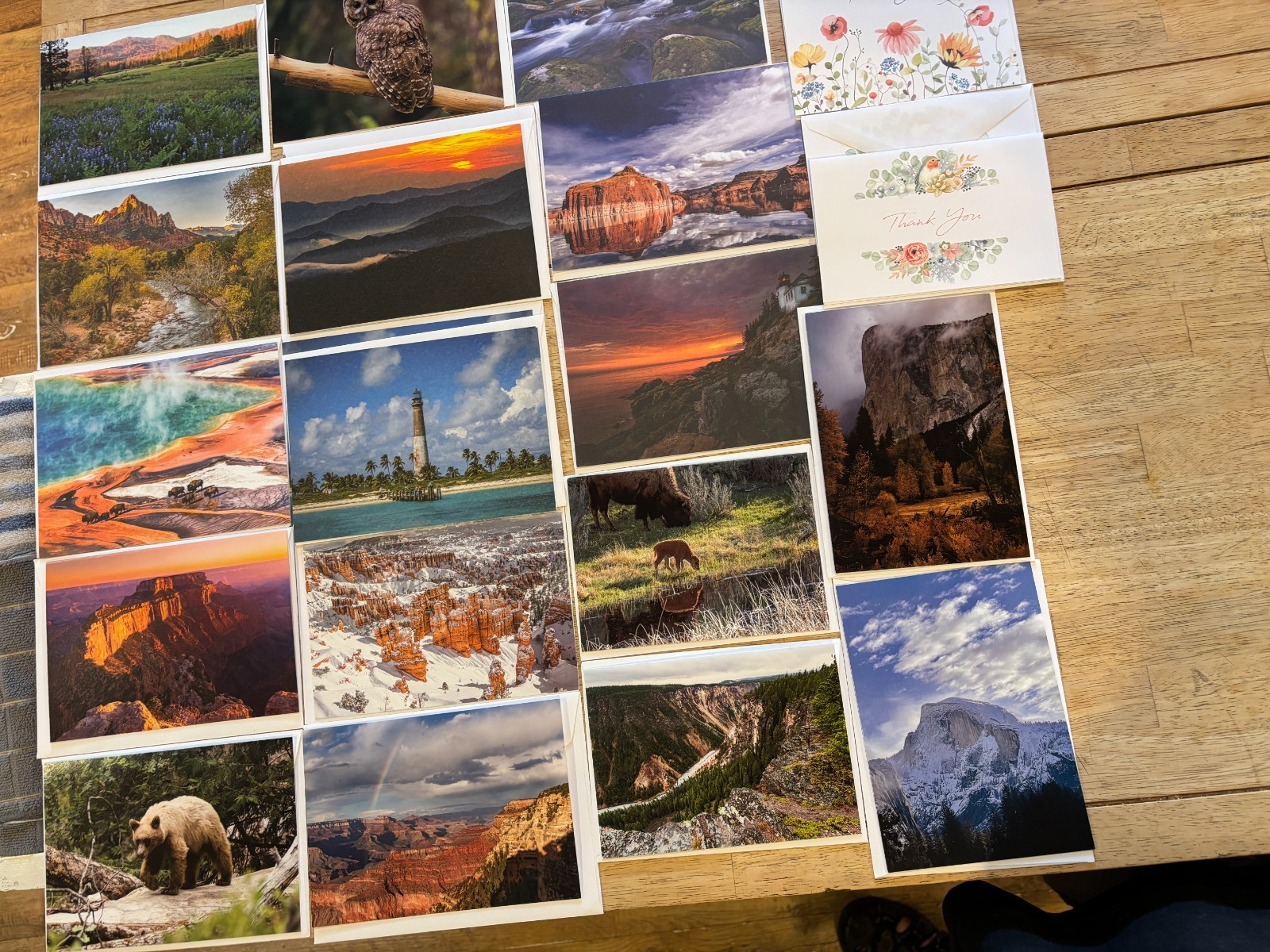 Land Conservation Charities – Greeting Cards – Lot of 23 w/Envelopes – Blank