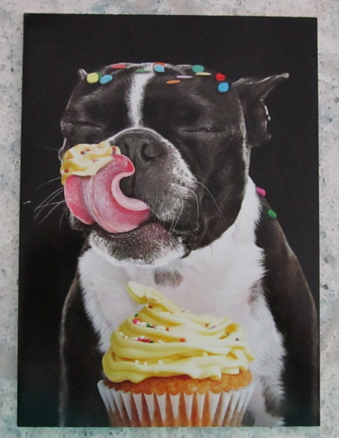 NOS Birthday Greeting Card, Env. & Seal – Dog Licking Cupcake