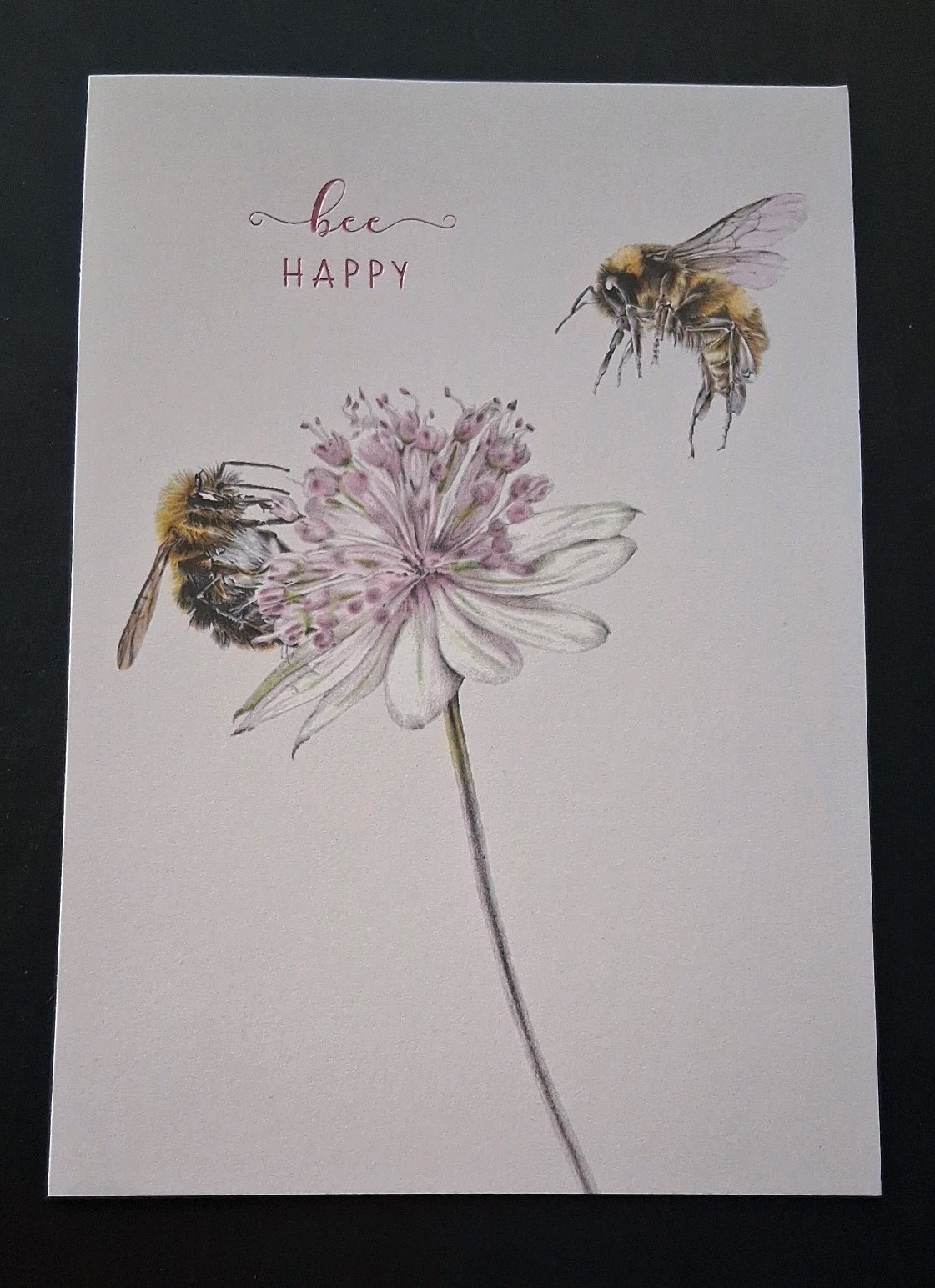 Funny Friendship Card