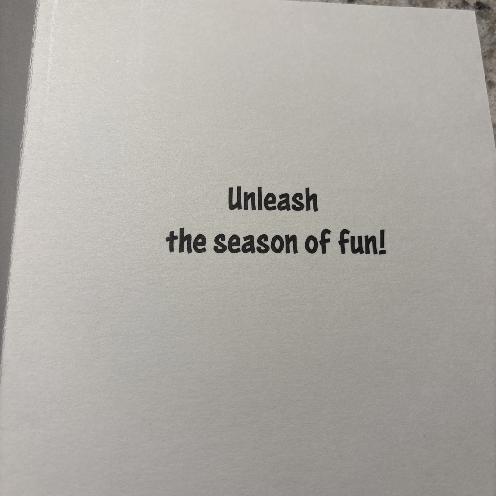 Merry Christmas Funny Dog Unleash The Season Of Fun 5″x7″ Hallmark Greeting Card