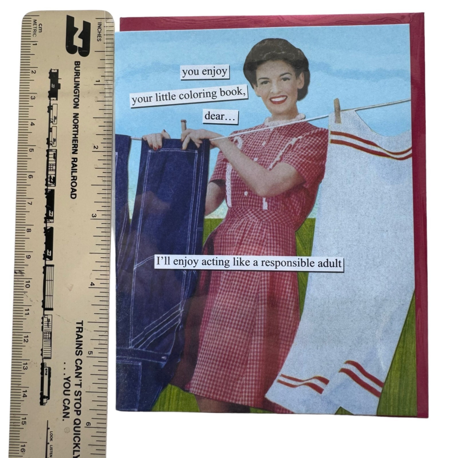 Anne Taintor All Occasion Happy Birthday Retro Greeting Card Clothesline 31834