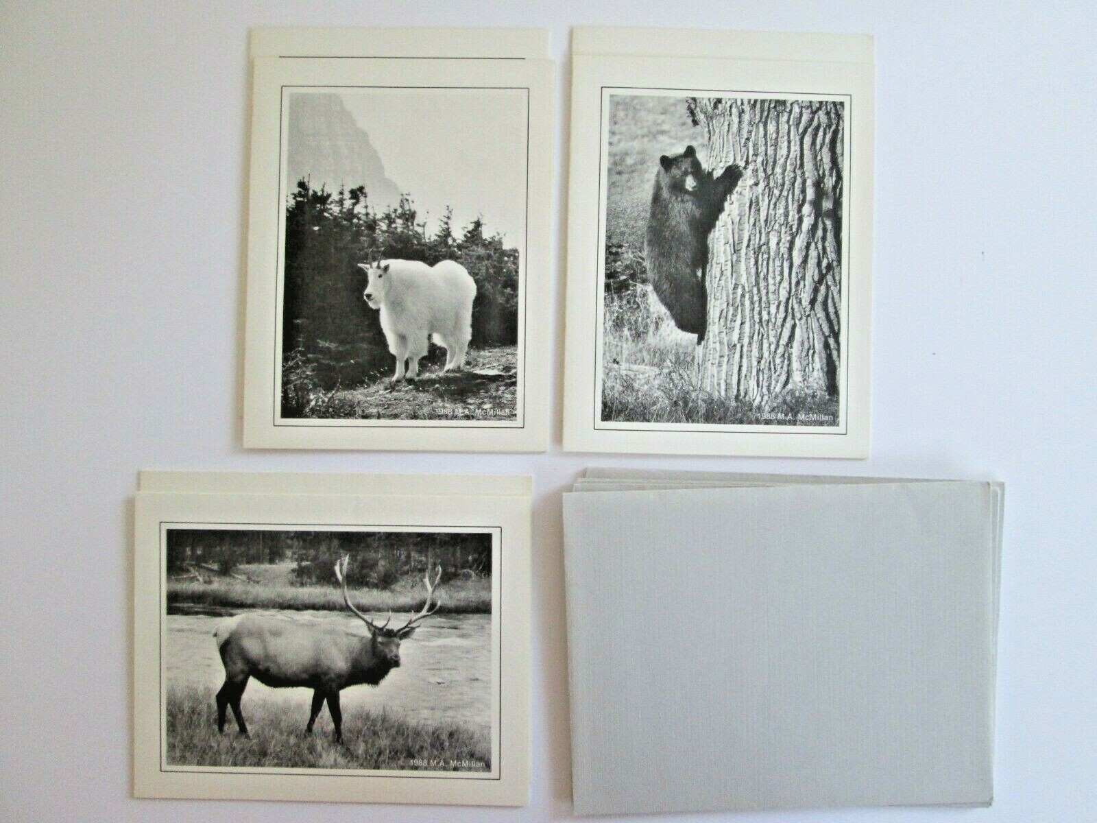 NEW Set of 6 Greeting Cards Elk Bear Mountain Goat Wild Life Photography Forrest