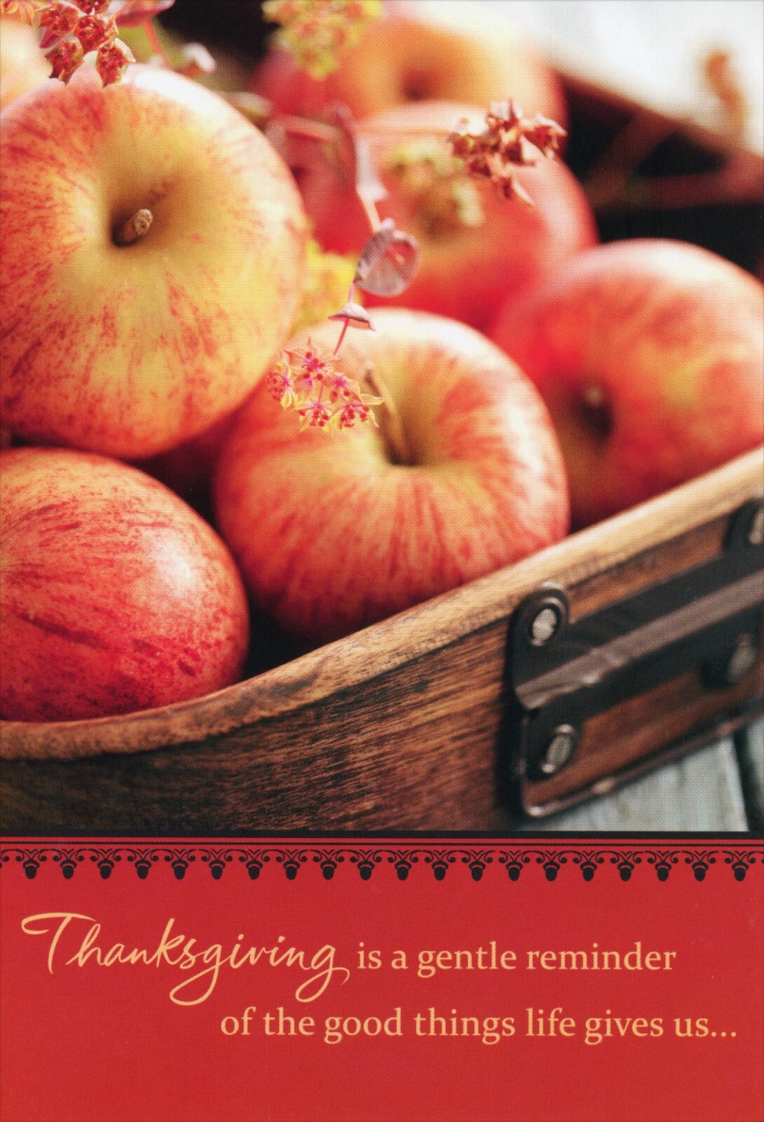 Happy THANKSGIVING Greeting Card, Gentle Reminder Apple Blessings by Hallmark +✉