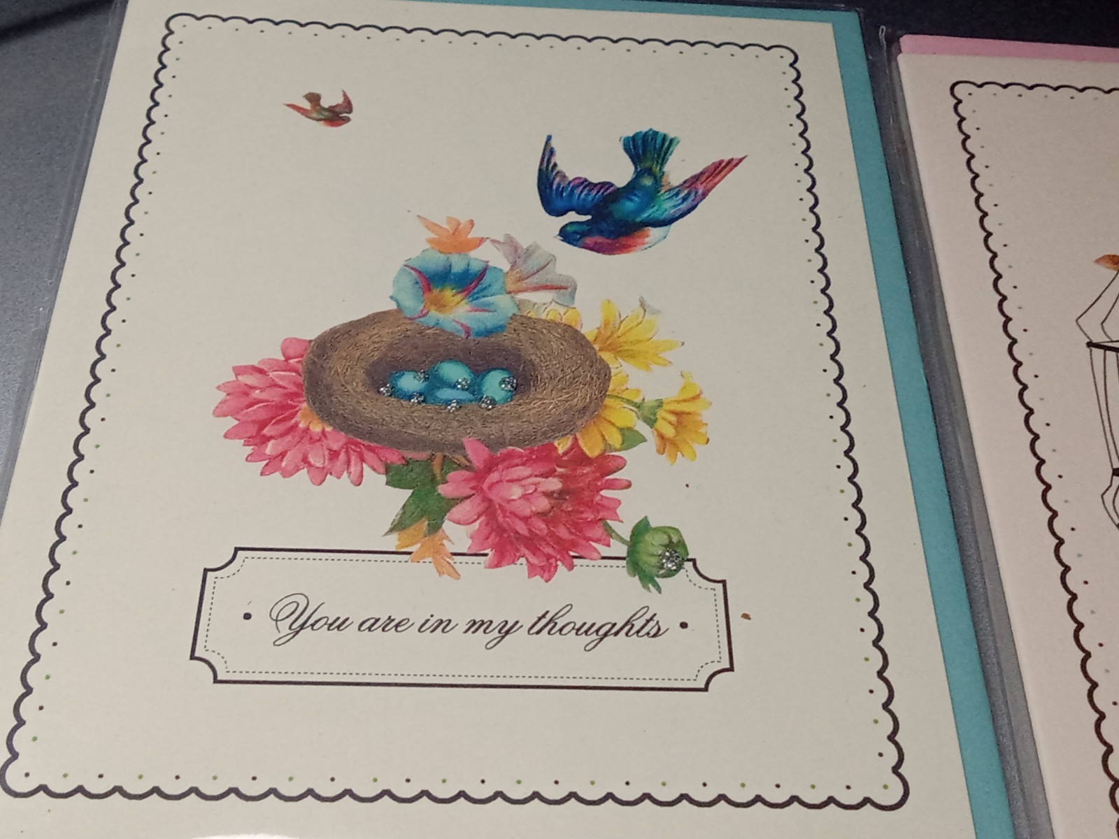 2 Unique Spring Bird Cage Greeting Cards Limited Hand Painted Driscoll Designs