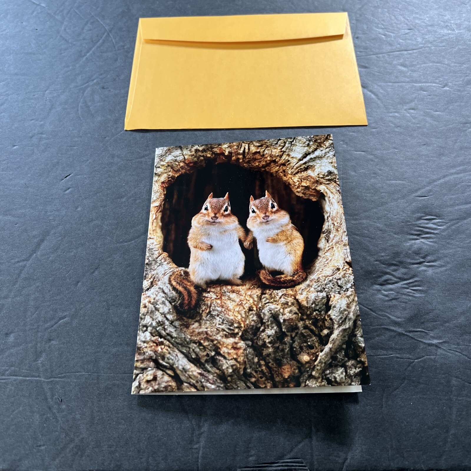 Avanti Press Funny Squirrels You Make Me Feel All Warm & Fuzzy Greeting Card