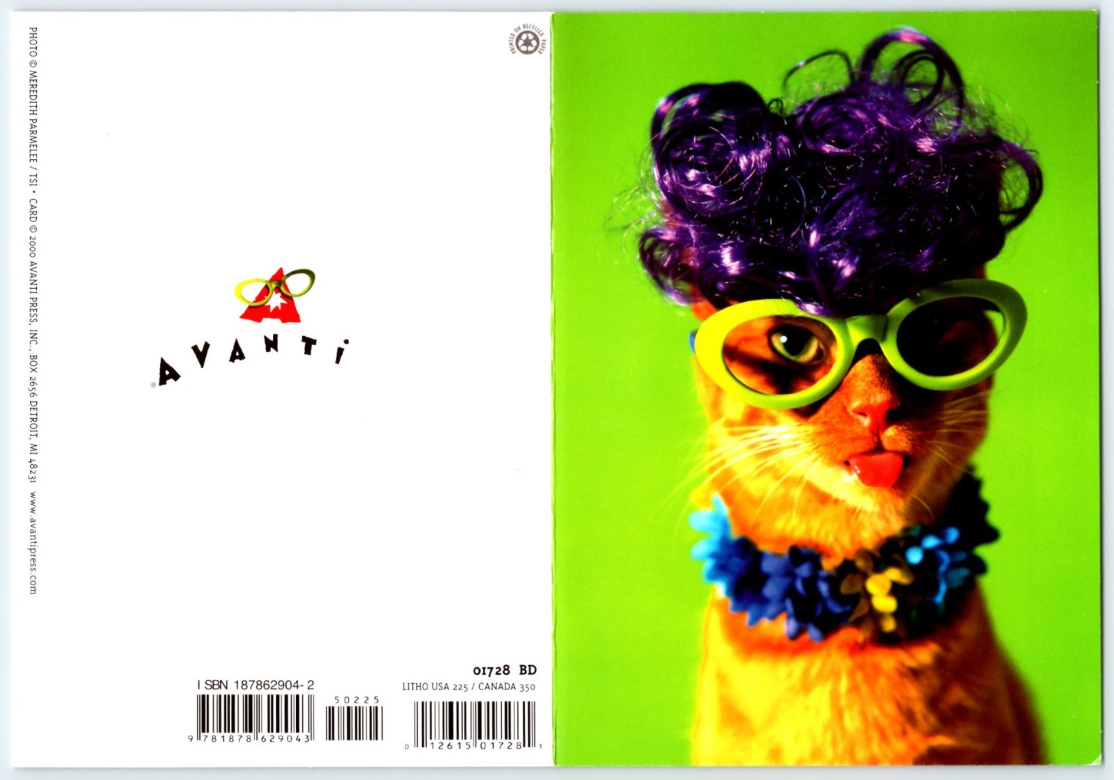 AVANTI CAT WEARING PURPLE WIG GREEN GLASSES BIRTHDAY GREETING CARD Envelope CF9
