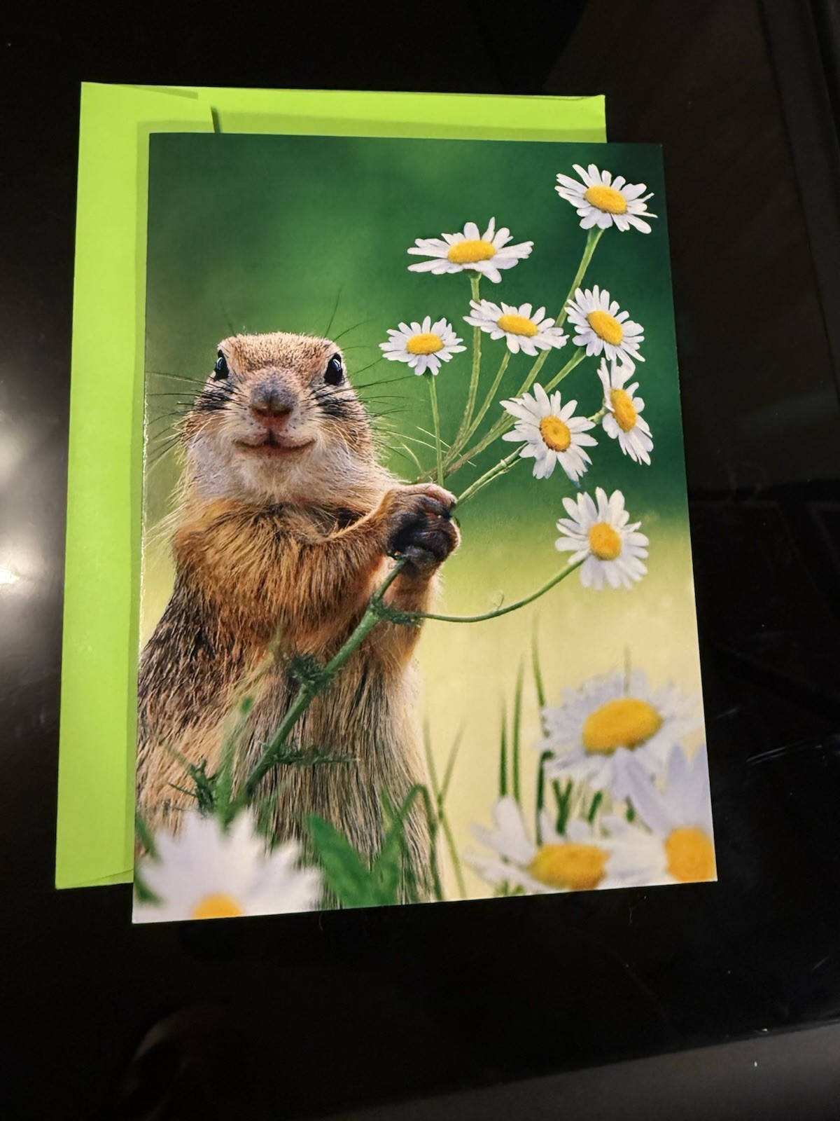 Avanti Press Thank You Card Squirrel With Flowers