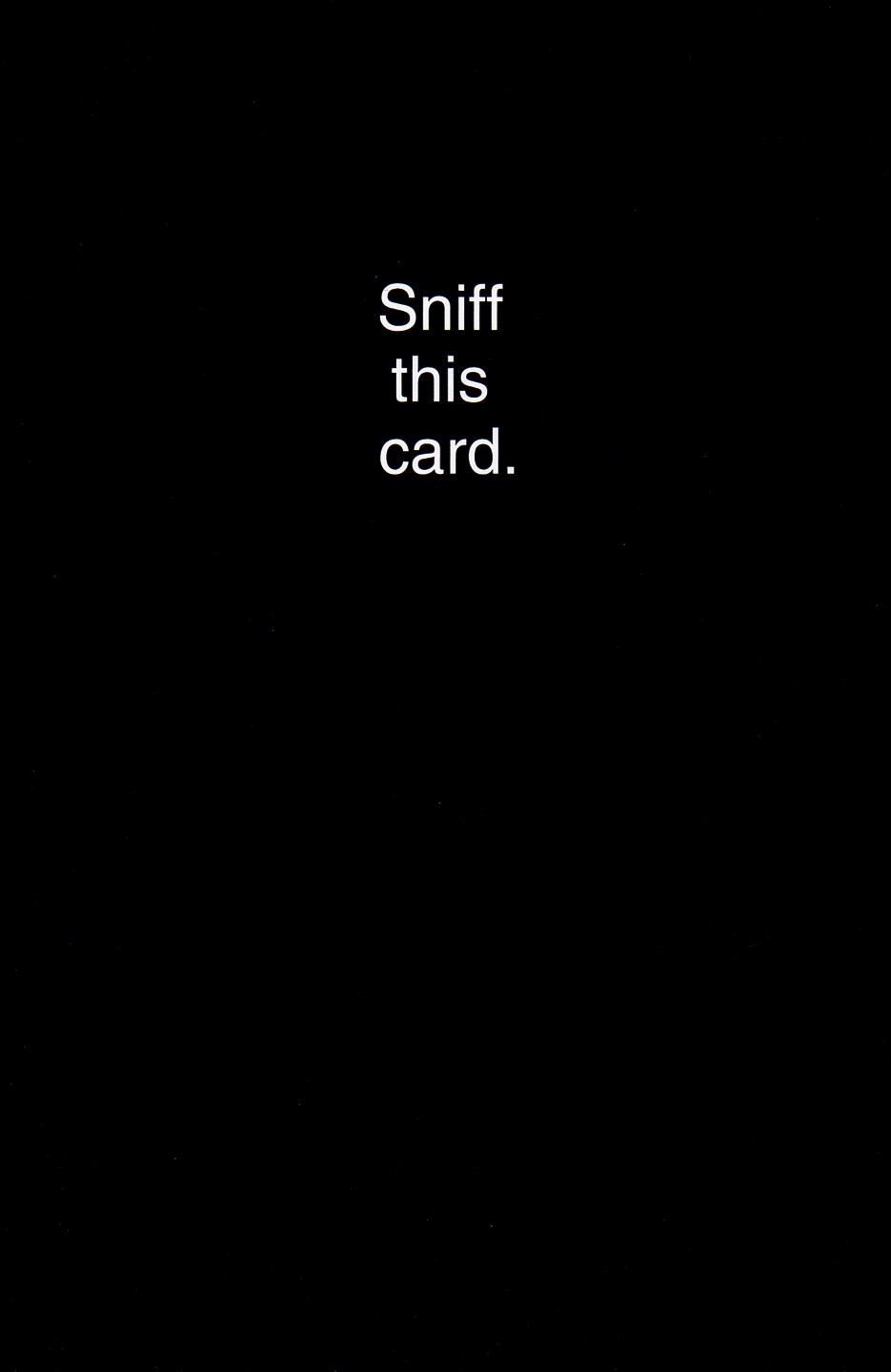 Funny ANYTIME Card, by American Greetings Sniff This Card Freak Black +Envelope