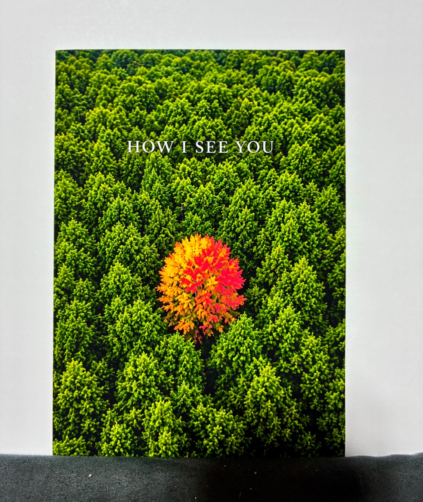 Romantic Love Card for Husband Wife Partner | “How I See You” I Love You