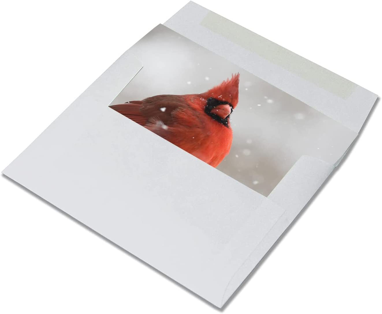 Cardinal Greeting Cards-Blank Inside-Available in 12 and 24 Packs-5.5″x4.25″