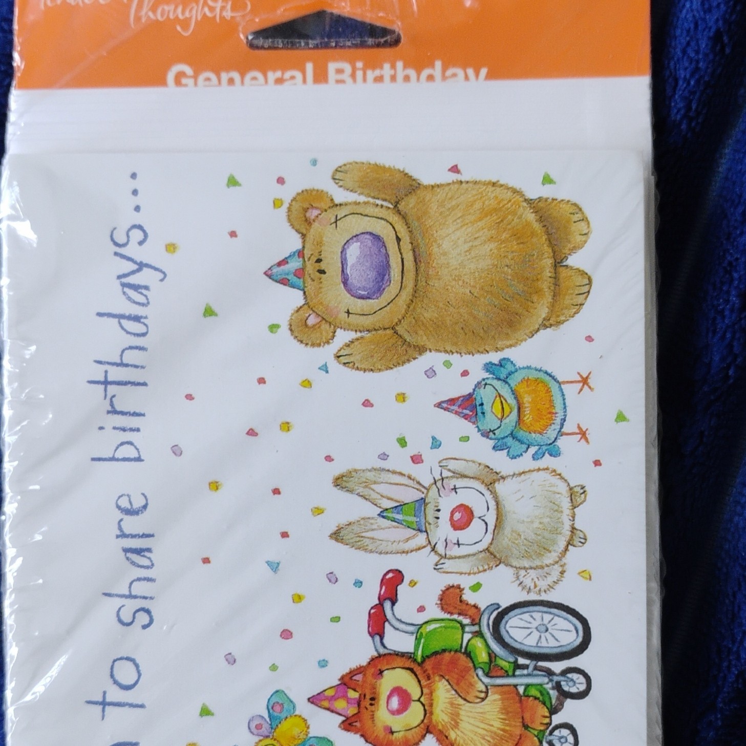 Tender Thoughts Birthday Invitations 8 Pack Folded Cards Animal Print w/ Envelo…
