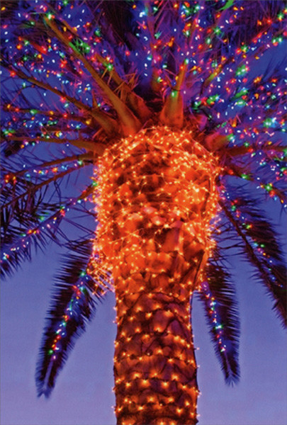 Palm Tree with Multi Colored Lights Box of 12 Nobleworks Christmas Cards