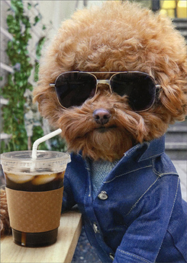 Cool Dog With Coffee Avanti Humorous Funny Birthday Card