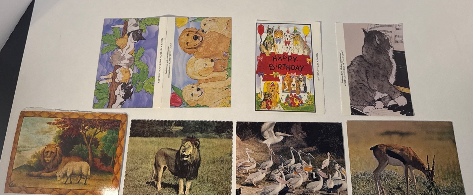 Vintage Set Of 9 Wildlife Animal Greeting Cards(081)