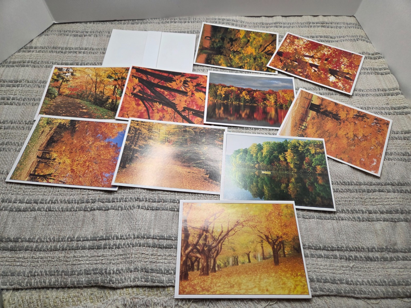 Greeting cards with beautiful fall pictures lot of 10