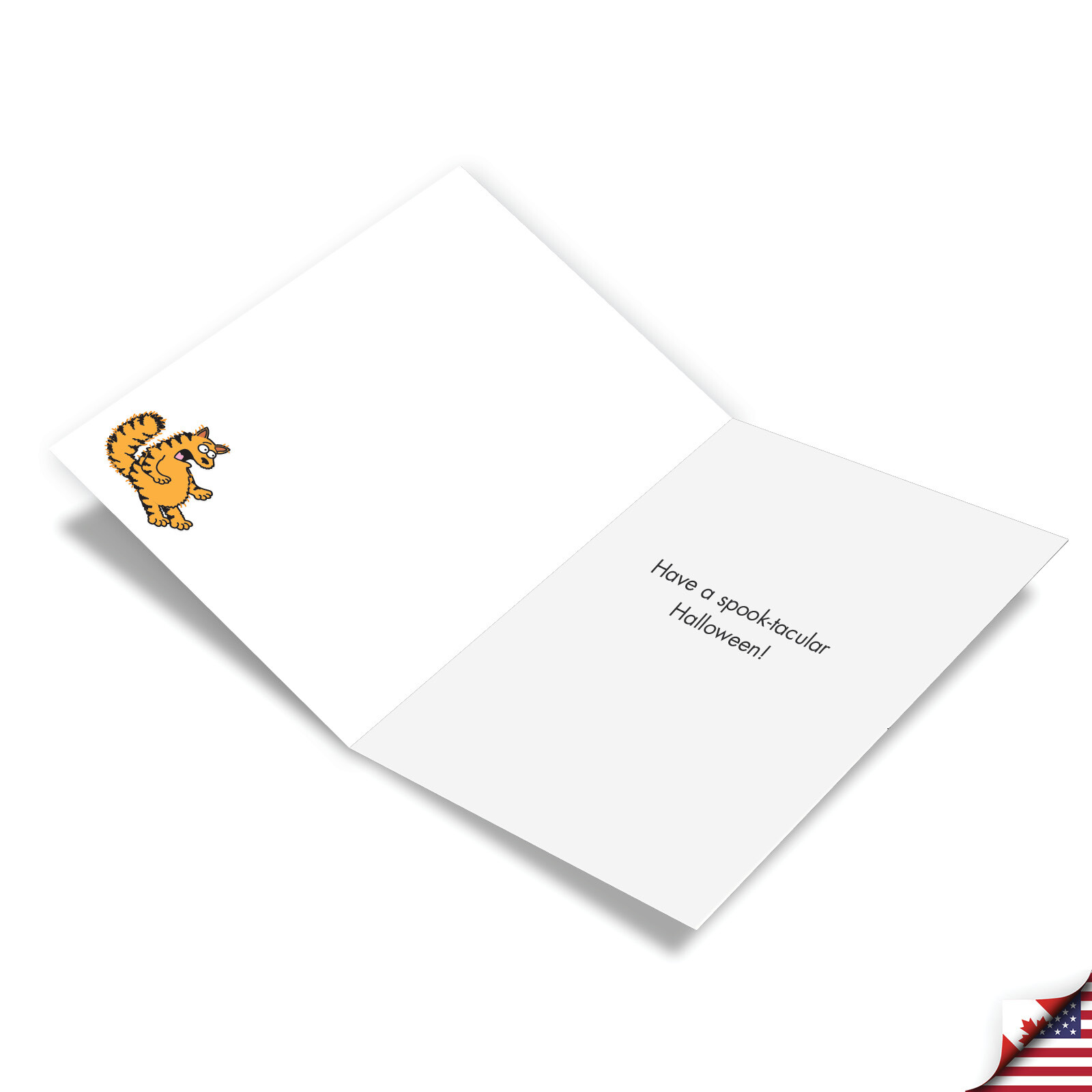 12 Funny Halloween Cards Envelopes (1 Design) – Scary Cat Story – NobleWorks