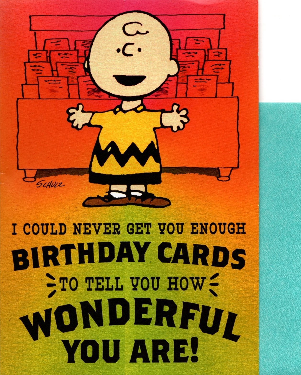 Peanuts Charlie Brown Snoopy Woodstock Happy Birthday Hallmark Greeting Card