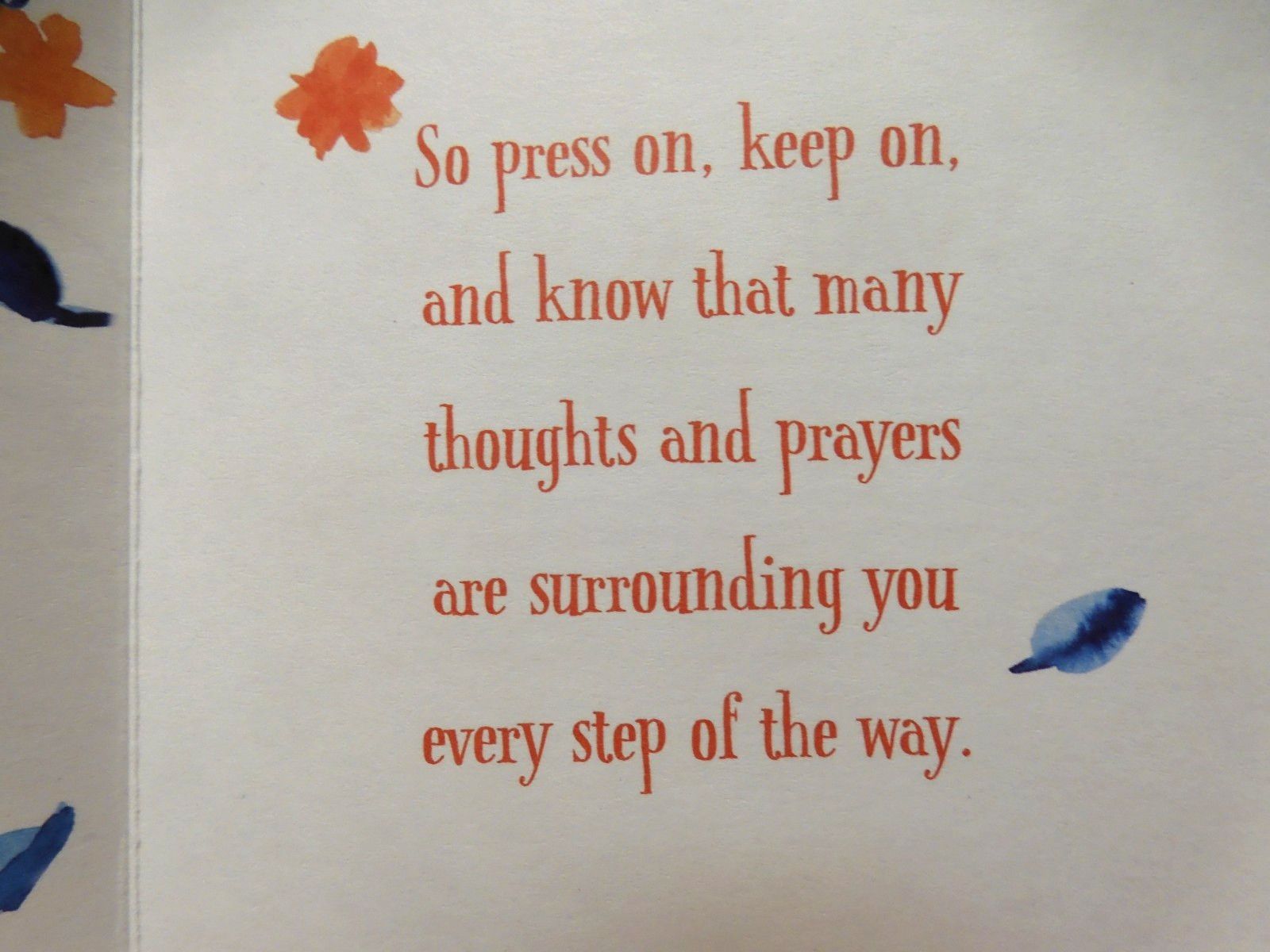 3 Cards DaySpring Encouragement You’re Not the Kind of Person to Sit Back