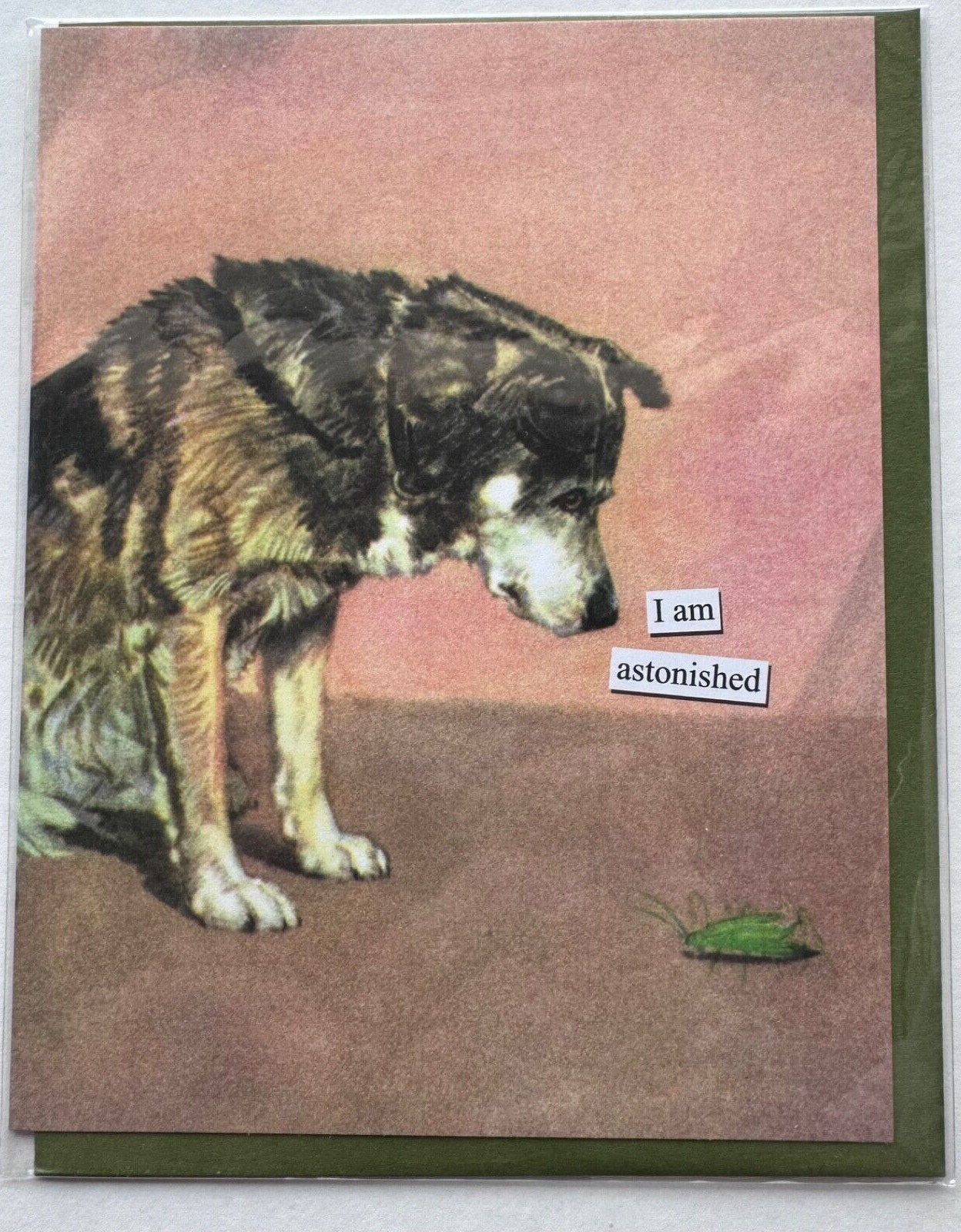 Anne Taintor All Occasion THANK YOU Greeting Card Animal Dog Bug USA 39681