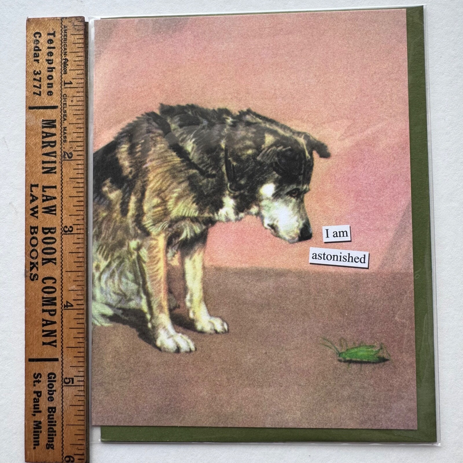 Anne Taintor All Occasion THANK YOU Greeting Card Animal Dog Bug USA 39681