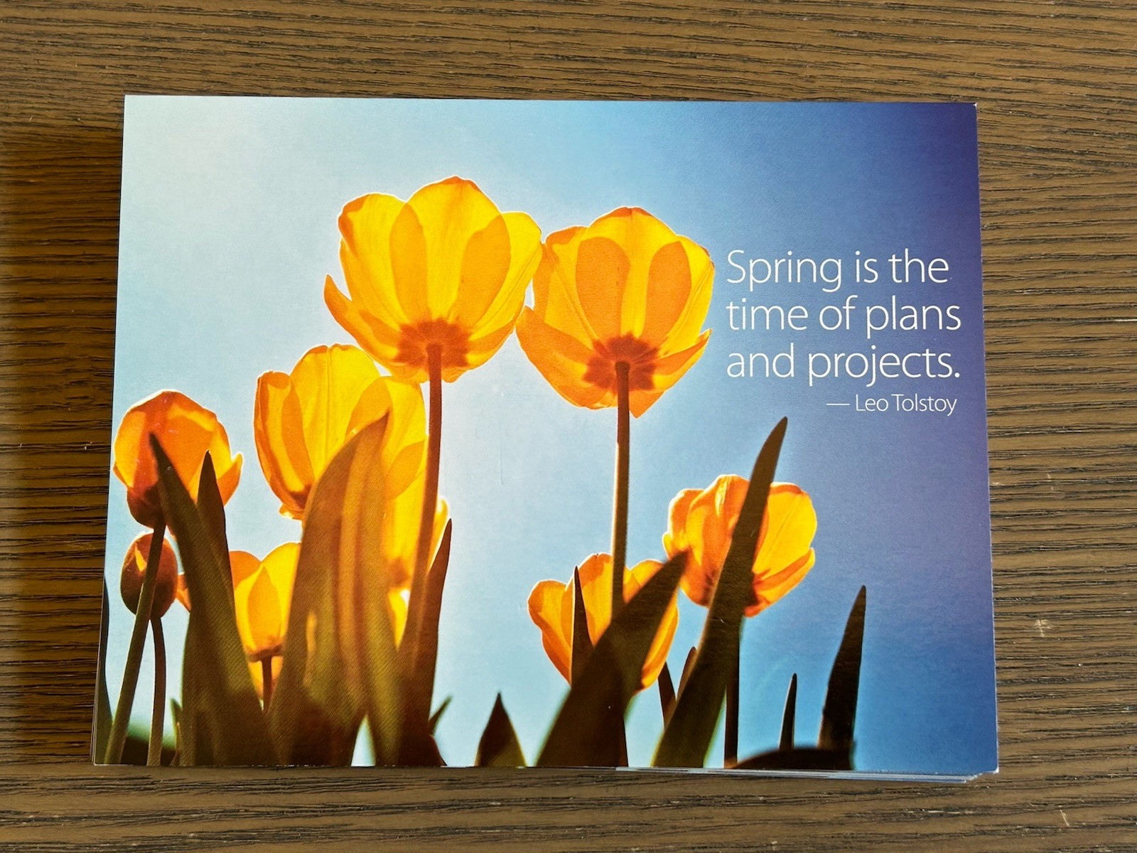 Yellow poppy flowers Spring plans 19 Blank Note Cards & Envelopes Buffini & Co