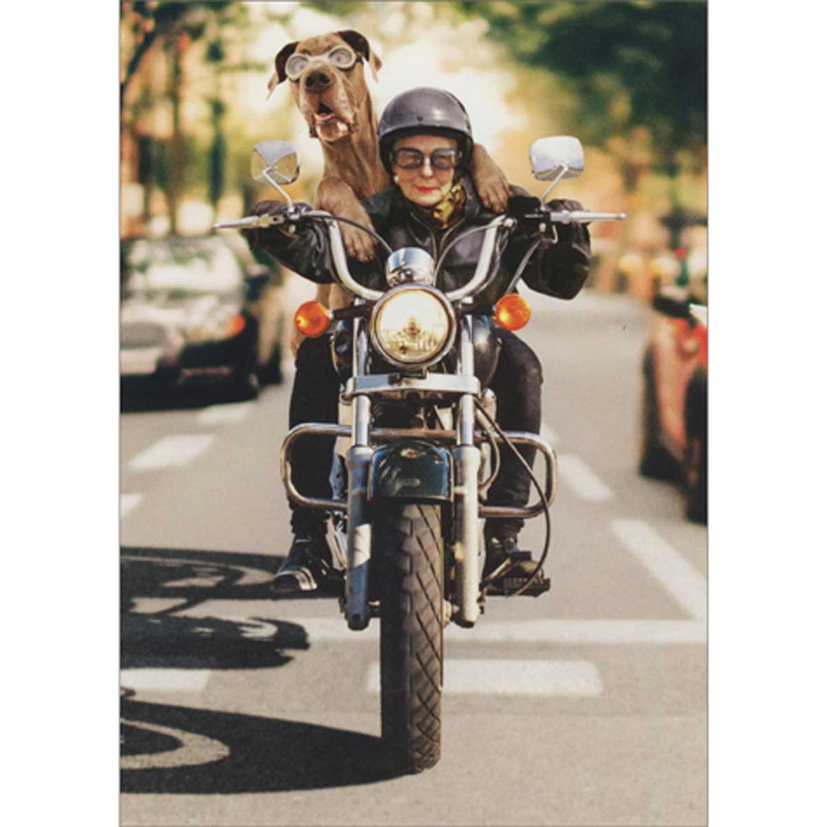 Avanti Press Cool Woman and Dog in Goggles Riding Motorcycle Funny Birthday Card